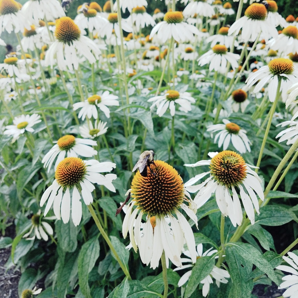 Meet your Posher, Genny